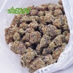 Buy Tangerine Cookies AAAA at BudExpressNOW Online Shop