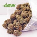 Buy Ghost Train Haze AAAA at BudExpressNOW Online Shop