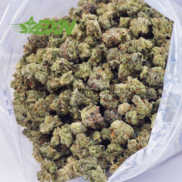 A bag of green marijuana buds