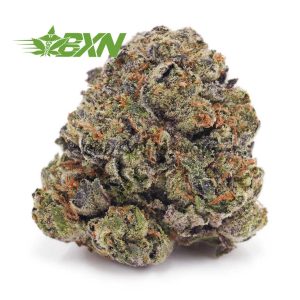 Buy Purple Space Cookies AAAA at BudExpressNOW Online