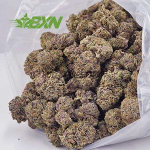 Buy Purple Space Cookies AAAA at BudExpressNOW Online