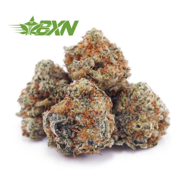 Buy White Rhino AAA (Popcorn) at BudExpressNOW Online