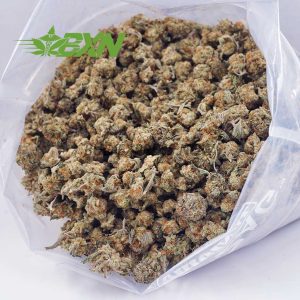 Buy White Rhino AAA (Popcorn) at BudExpressNOW Online