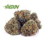 Buy Astro Cookies AAAA (Popcorn) at BudExpressNOW Online Shop.