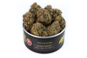 In this Kush Mints strain review, we take a look at this exciting weed bud, its THC & which store you can get the best deal when you order weed.