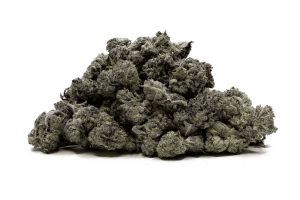 Pine Tar strain is an iconic bud that will leave you happy, relaxed, & content. This strain is a pure indica, so you’re up for a ride. buy Pine Star online.