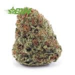 Buy Trainwreck AAA at BudExpressNOW Online.