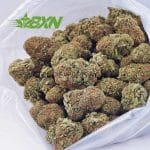 Buy Trainwreck AAA at BudExpressNOW Online.