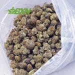 Buy King Kush AAA at BudExpressNOW Online Shop