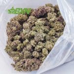 Buy Lemon Kush AAA at BudExpressNOW Online