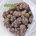 Buy Miracle Alien Cookies (Craft) at BudExpressNOW Online.