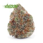 Buy White Biscotti AAAA at BudExpressNOW Online Shop