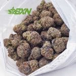 Buy Alaskan Thunder Fuck AAA at BudExpressNOW Online.