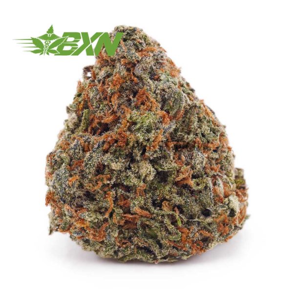 Buy Jack Herer AA at BudExpressNOW Online Shop