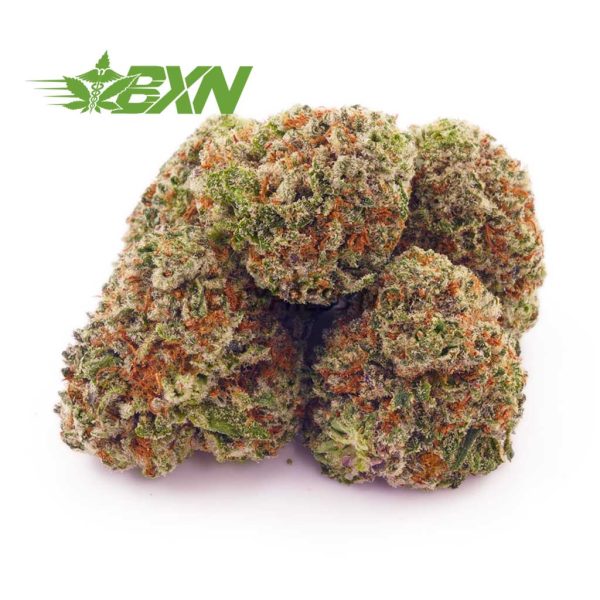 Tuna Kush AAAA (Popcorn) at BudExpressNOW Online Shop.