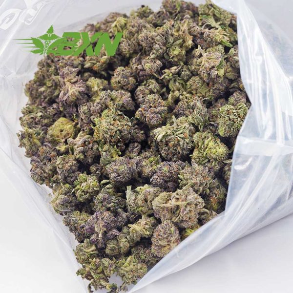 Buy Hindu Kush AAAA (Popcorn) at BudExpressNOW Online Shop