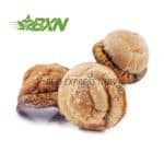 Buy Mushroom - Code Blue at BudExpressNOW Online Shop
