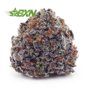 Buy Platinum Cookies AAAA at BudExpressNOW Online Shop