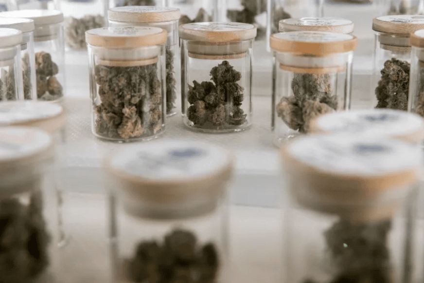 Short on time and low on cash? Buy online pot. It’s the easiest way to snag premium buds in Canada. Find out what’s hot at an online dispensary!