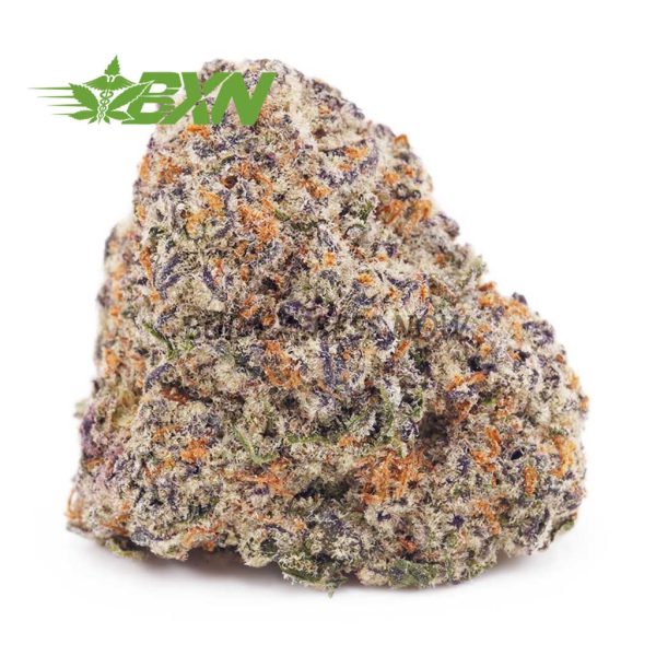 Buy Cookie Kush AAA at BudExpressNOW Online Shop