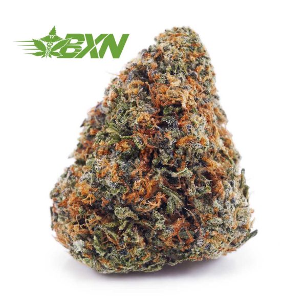 Buy Cotton Candy Kush AA at BudExpressNOW Online