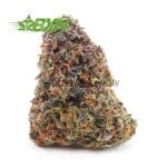 Buy Pink Gelato AAAA at BudExpressNOW Online Shop
