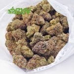 Buy Pink Gelato AAAA at BudExpressNOW Online Shop