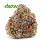 Buy Coconut Haze AA at BudExpressNOW Online