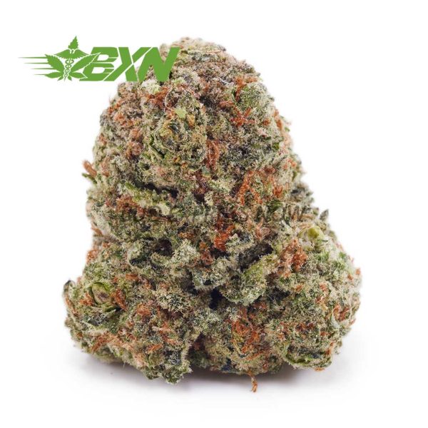 Buy White Widow AAA at BudExpressNOW Online Shop