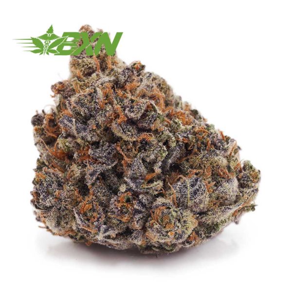 Buy Granddaddy Purple AAAA at BudExpressNOW Online Shop