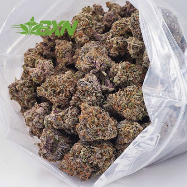 Buy Granddaddy Purple AAAA at BudExpressNOW Online Shop