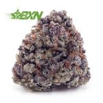 Buy Purple Rose AAAA at BudExpressNOW Online Shop