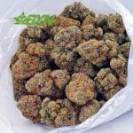 Buy Astro Cookies AAAA at BudExpressNOW Online Shop.