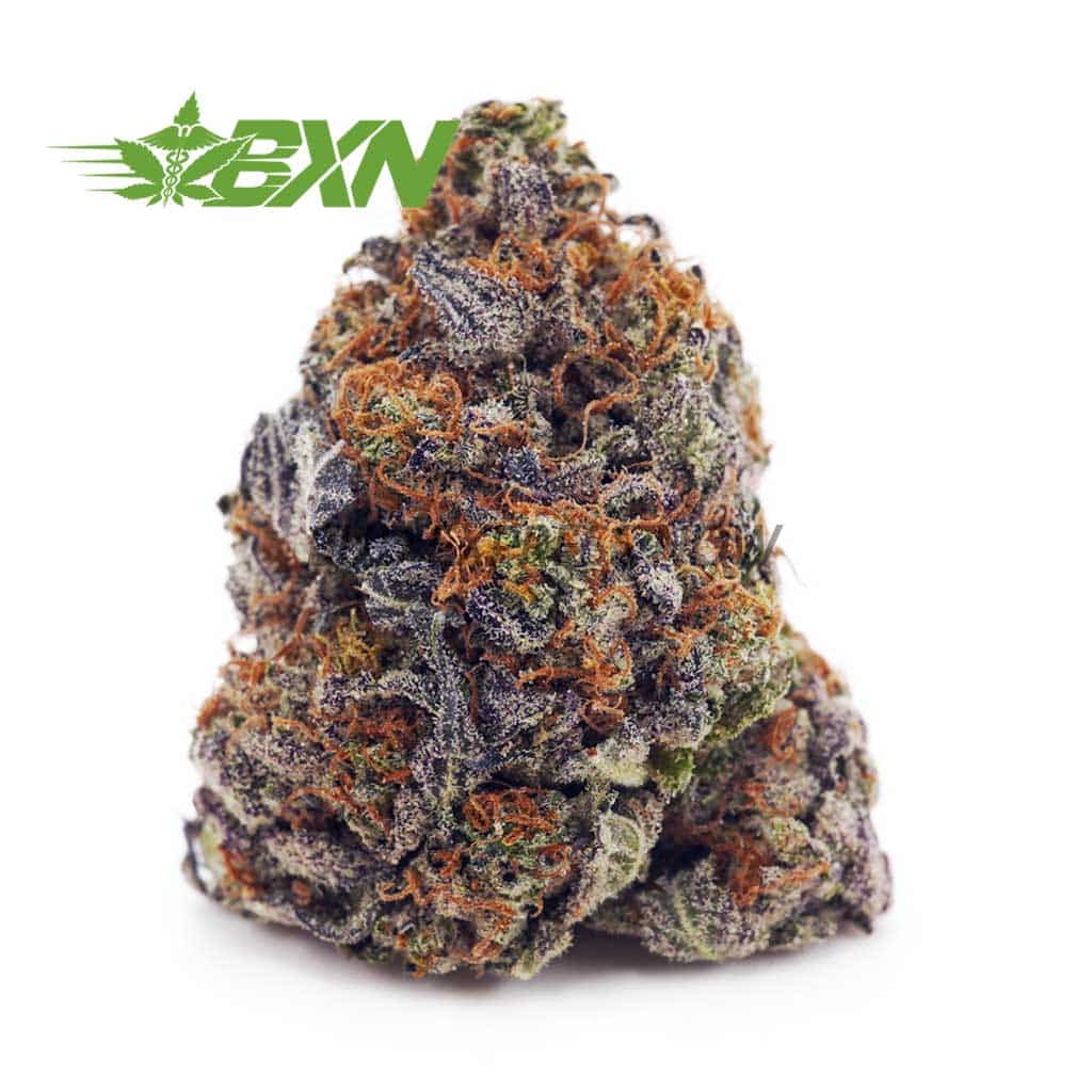 Buy Blackberry Punch AA at BudExpressNOW Online Shop