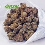 Buy Blackberry Punch AA at BudExpressNOW Online Shop