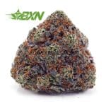 Buy Grape Kush AAAA at BudExpressNOW Online Shop