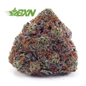 Buy Grape Kush AAAA at BudExpressNOW Online Shop