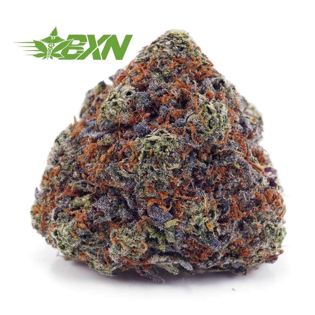 Buy Grape Kush AAAA at BudExpressNOW Online Shop