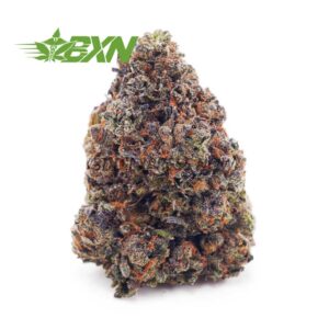 Buy Purple Haze AAA at BudExpressNOW Online Shop