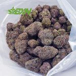 Buy Amnesia Haze AAA at BudExpressNOW Online Shop