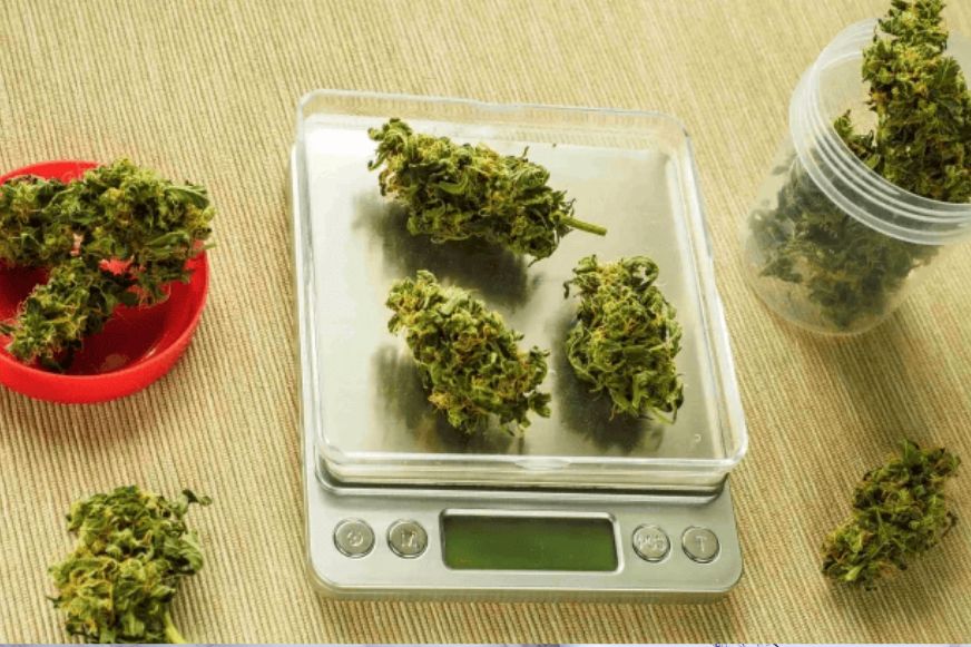 How much is an oz weed & can you buy quality cannabis on a budget? Why do weed quantities matter? Find out in this guide to measuring weed!
