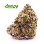 Buy Scooby Snack AA at BudExpressNOW Online