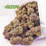 Buy Scooby Snack AA at BudExpressNOW Online