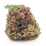 Buy Green Congo AA at BudExpressNOW Online Shop