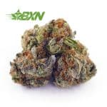 Buy Lemonade Kush AAAA (Popcorn) at BudExpressNOW Online Shop.