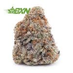 Buy Alien Cookies AAA at BudExpressNOW Online