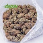 Buy Alien Cookies AAA at BudExpressNOW Online