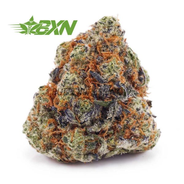 Buy Forum Cut Cookies AAA at BudExpressNOW Online