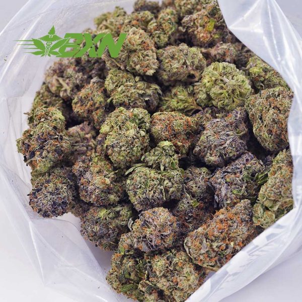 Buy Island Pink Kush (Craft) at BudExpressNOW Online Shop.