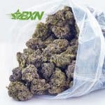 Buy Vintage Blueberry (Craft) at BudExpressNOW Online Shop.